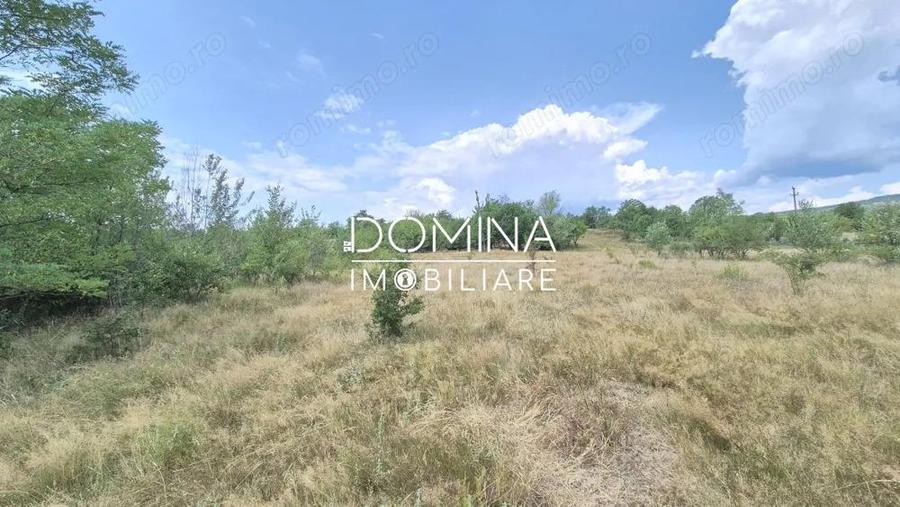 Vanzare casa batraneasca ?i teren in apropiere de complex turistic Mu?ete?ti - 2