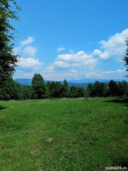 Teren de 4500 mp, în Albești