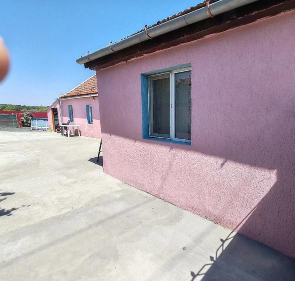 Casă cu 3 camere cu Teren 1100 Mp în Pustiniș