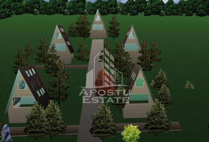 Teren Construibil - Sebis - 5