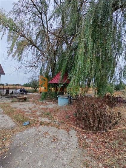 Casa P+M cu teren 2098mp in Potoceni, Buzau - 17