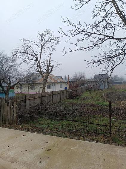 Vind casa batrineasca - 4