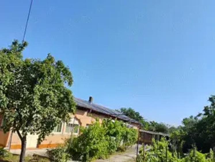 VIND casa curte Afumati - 1