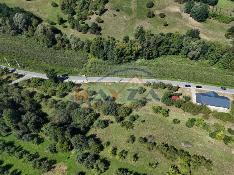 Vanzare teren, intravilan 1067 mp, localitatea Grosi - Maramureș - 6