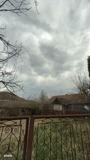 Casa de vanzare in Stupini, comuna Sanmihaiu de Campie teren 35 ari - 8
