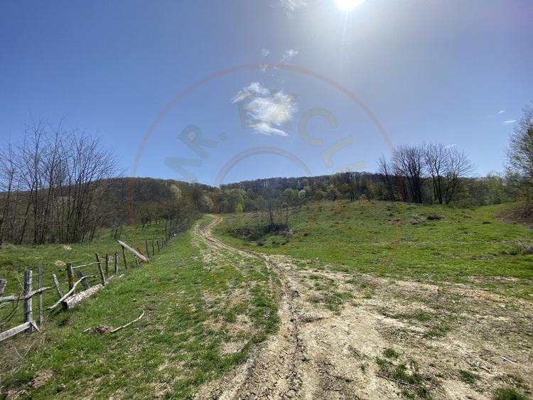 Teren 13.000 mp zona de deal - Aninoasa AG - 4