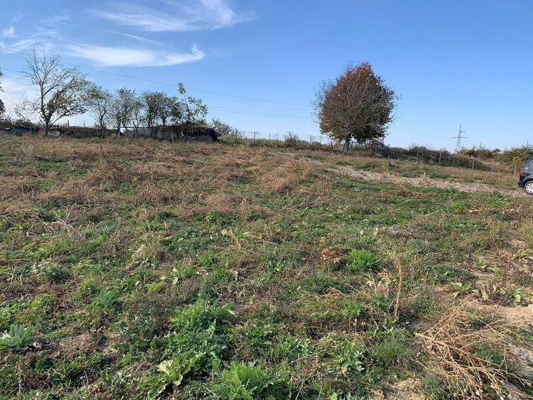 Teren intravilan Paun - 8