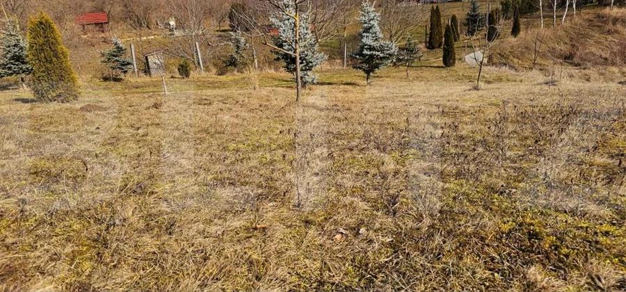 Oaza de lini?te in Arcus casa P+M cu teren de 2000 mp - 4