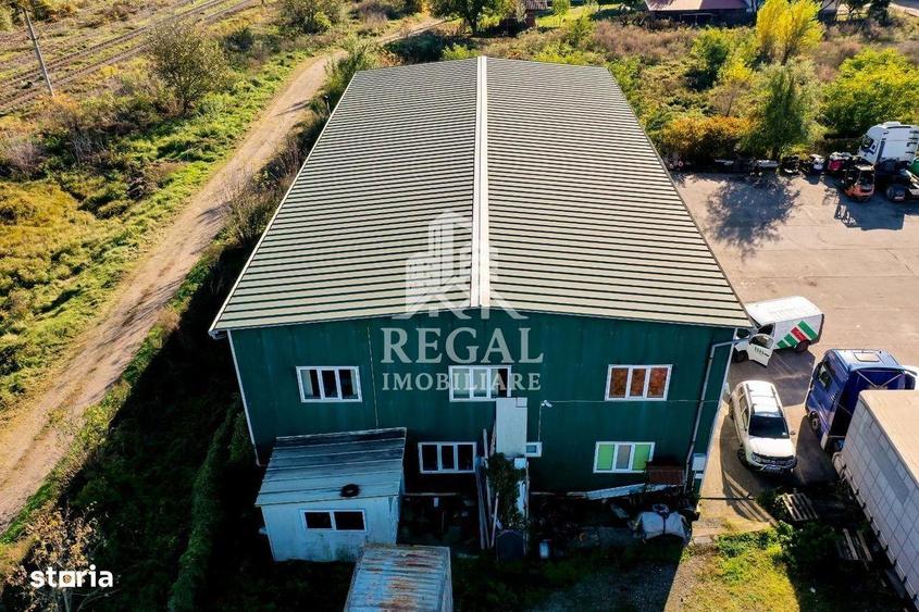 HALA INDUSTRIALA DE VANZARE CRISTUR (Hunedoara Deva) - 4