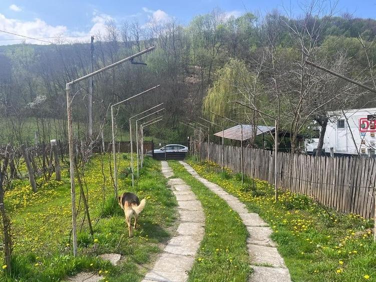 Casa de vanzare in Golesti, Ramnicu Valcea - 6