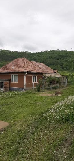 Vand casa cu 2  cam. +dependinte in Ceoasul de Campie - 1