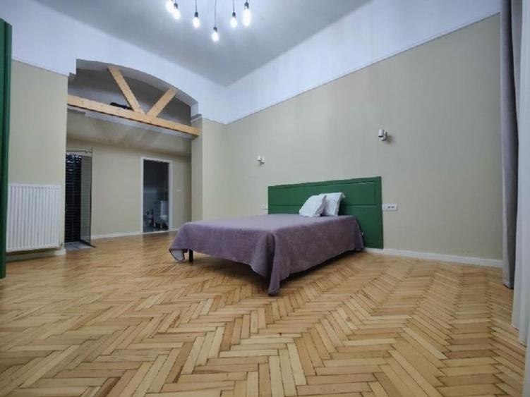 Apartament deosebit in Centrul Timisoarei - 10