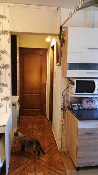 PF vand apartament 3 camere, decomandat, parter, Manastur, Aleea Retezat - 9