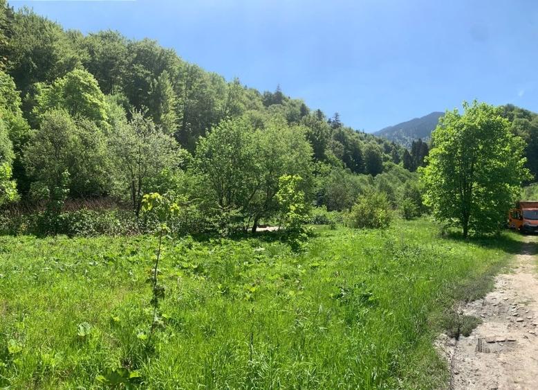 Teren de vanzare DN1. - 7