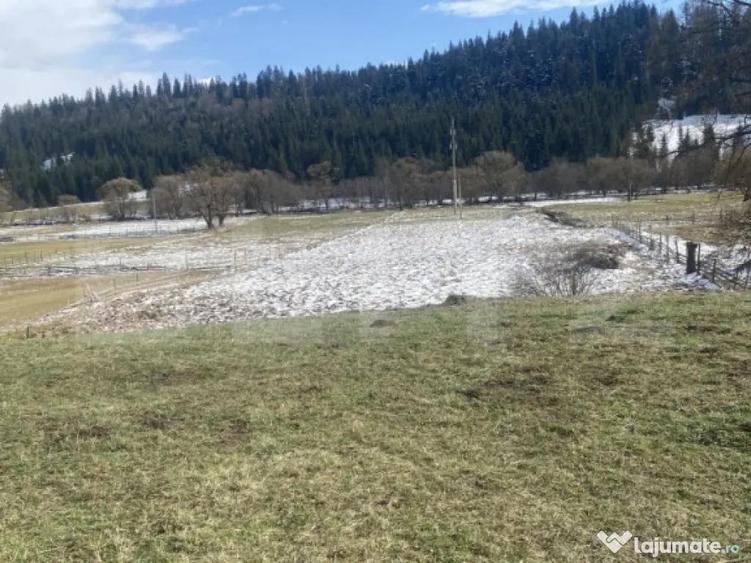 Teren intravilan de vanzare, 12.500 mp, zona Vatra Dornei, P - 3