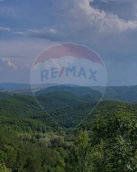 DE VANZARE Pensiune | 12 camere | Bisoca / Buzau - 18