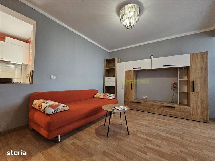 Apartament cu 2 camere renovat in Centrul Istoric - 9
