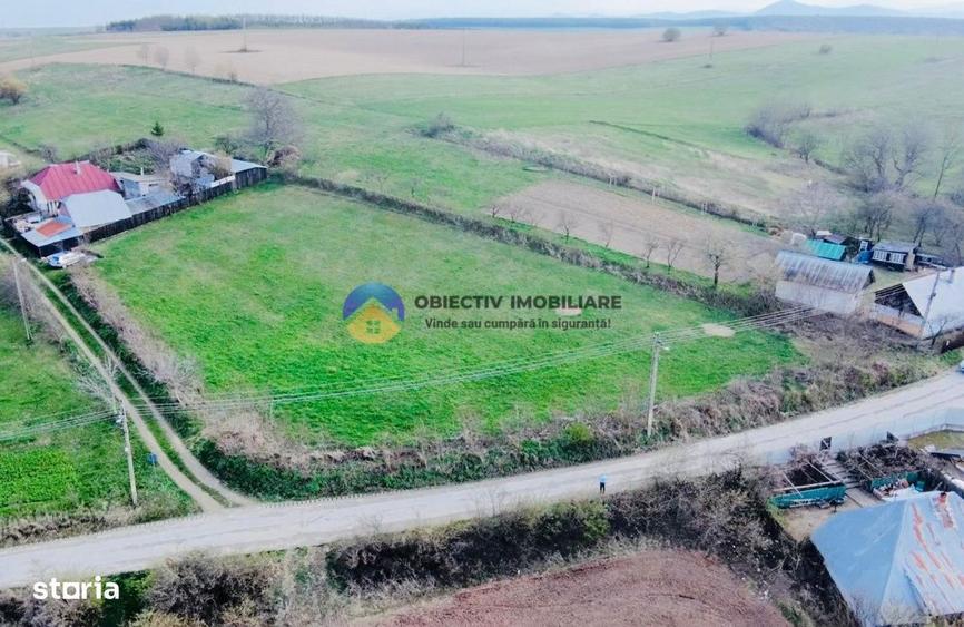 TEREN intravilan 2879 mp DOBRENI - 3