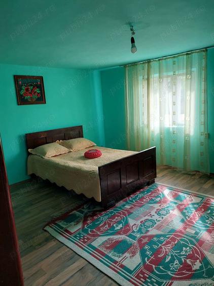 Vand casa mare cu livada, vie, gradina in Fratostita - 6