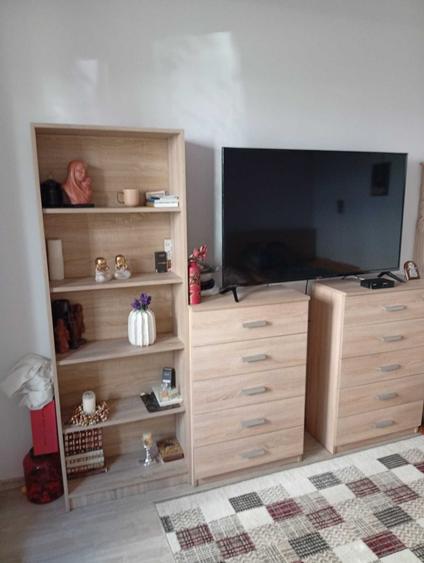 Apartament 2 camere cartier Brancusi - 2