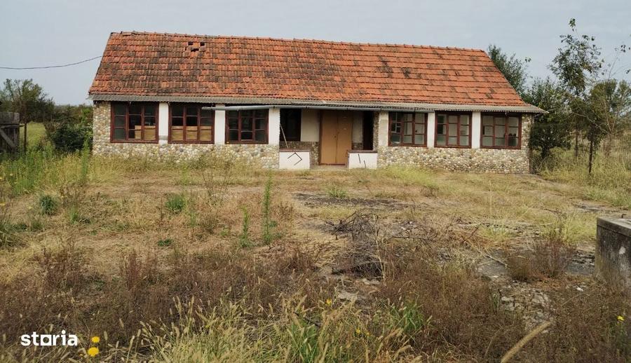 Casa veche din 1955 si teren intravilan 6153 mp, Sinersig,Jud Timis - 1
