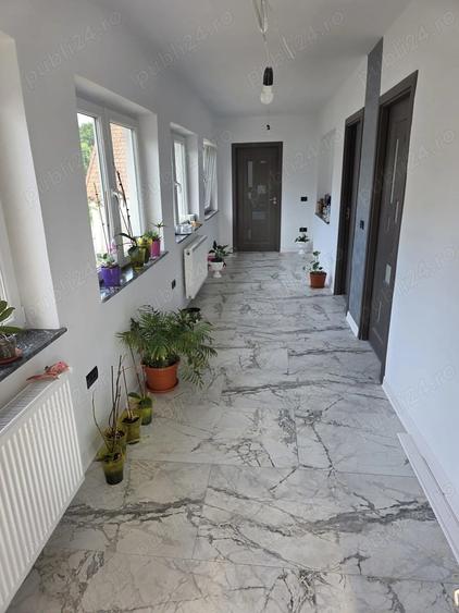 Vand casa in localitatea Pui - 1