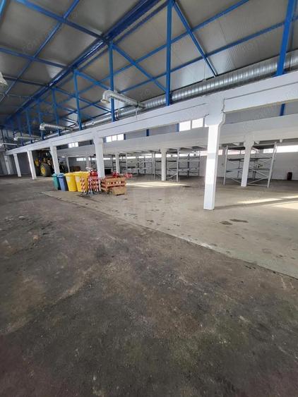 HALA 1800 MP//PLATFORMA BETONATA 5200 MP//ZONA BRAZI - 1