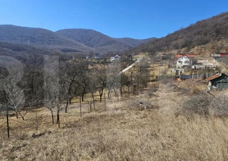 Teren intravilan de vanzare, 1550 mp, cu priveli?te panoram - 2