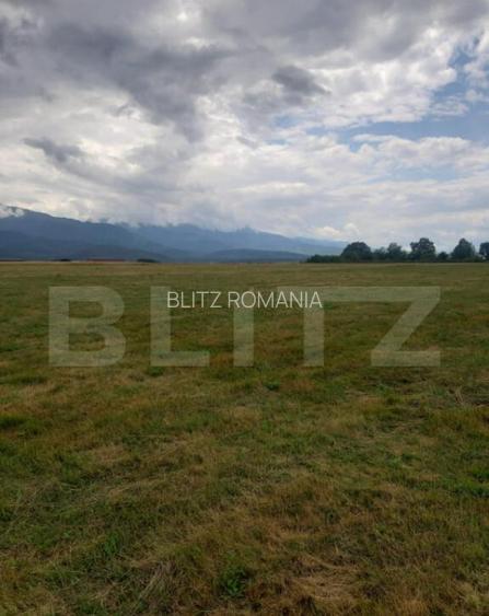 Teren extravilan 8600 mp, Car?i?oara- Coasta lui Nache