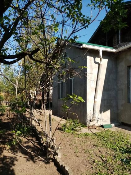 Casa de vanzare schimb Corabia , langa Dunare - 7