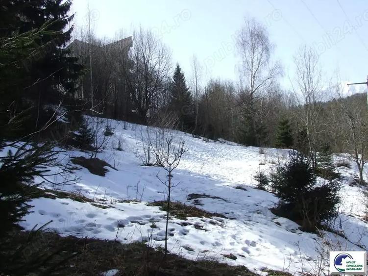 Teren situat in Predeal - 3