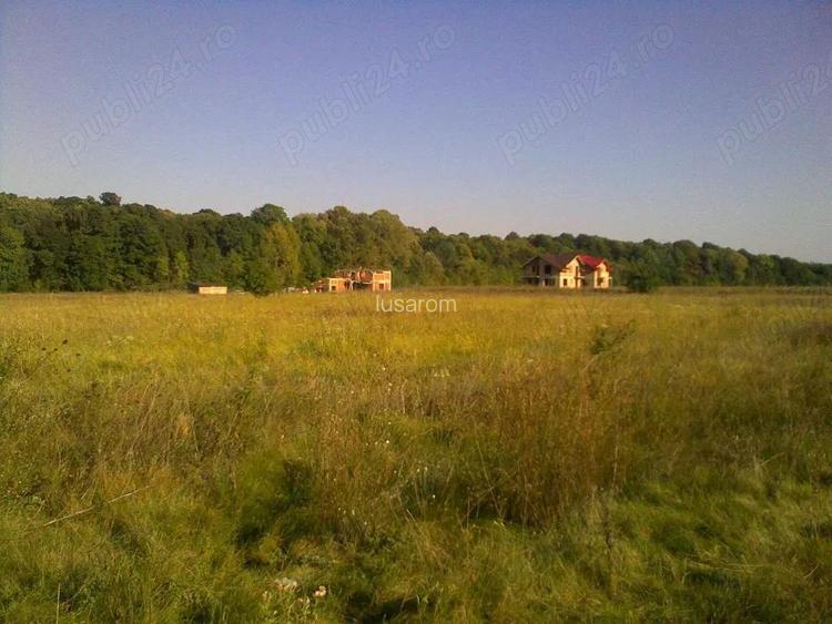 Intravilan in zona metropolitana Bucuresti (Domnesti-Teghes)