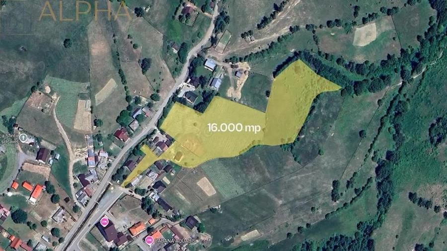 Teren Intravilan de 16.000 mp, Utilitati si Acte in Regula - 1