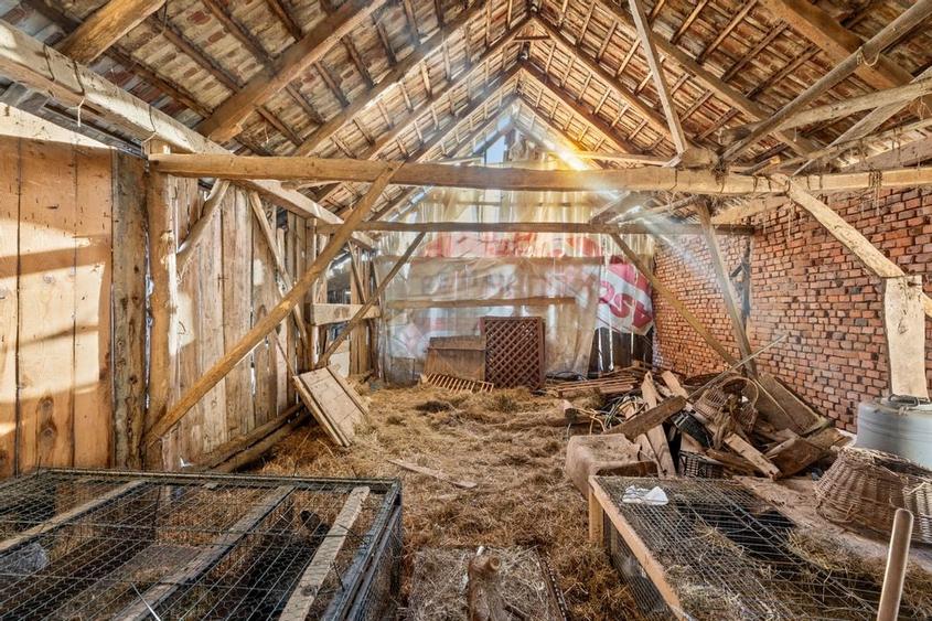 Gospodarie autentică bănățeană, cu teren generos și livadă – Frumușeni - 13