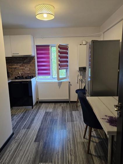 Apartament -Strada Victoriei-De inchiriat - 3