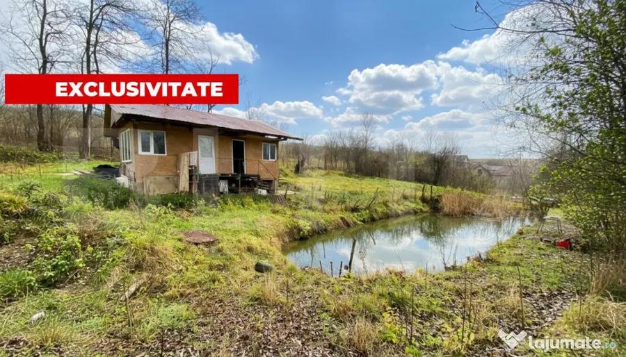 Teren intravilan 1150 mp cu cabana si balta, Sat Craesti - 1