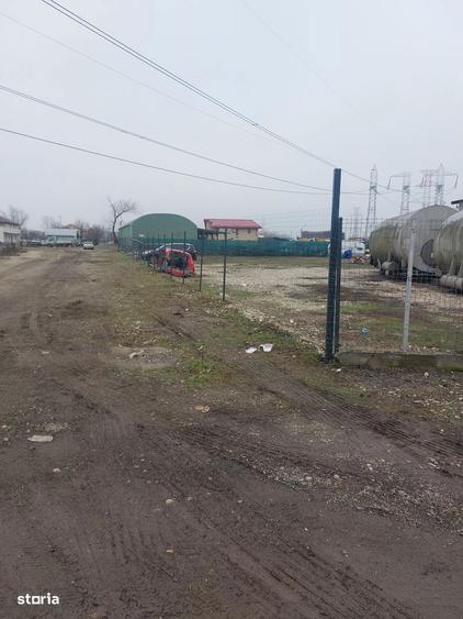 Clinceni - Olteni, Strada Fortului, Stradal - 4