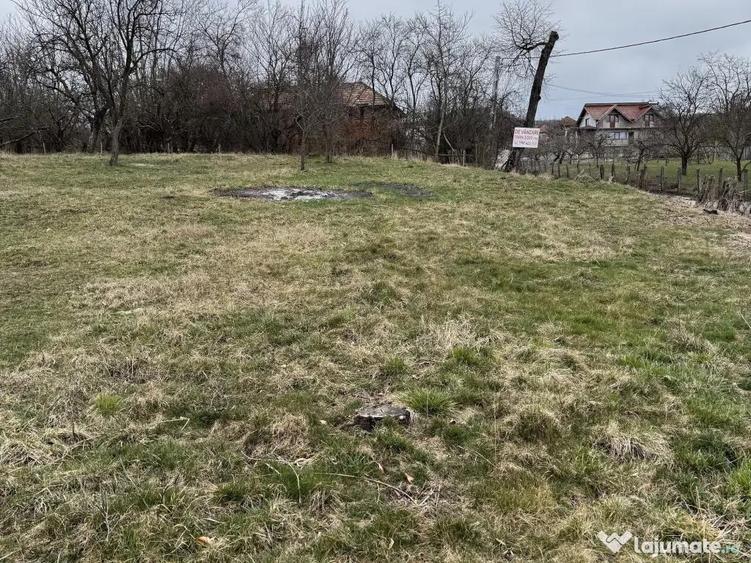 Oportunitate ! Teren Intravilan 3.000 mp, Lini?te, Spa?iu, Construc?ii Imediate - 4