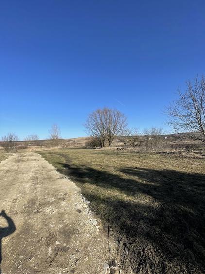 Teren intravilan 2150mp Tureni - 4