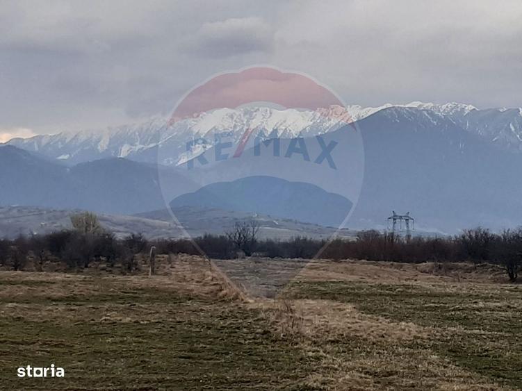 Teren 10,000mp Rasnov / Drumul Panicel - 1