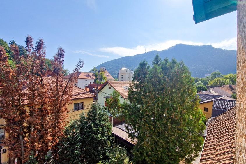 Ultracentral, vila 7 cam, zona Maternitate, 4 parcari, gradina, comision 0% - 11