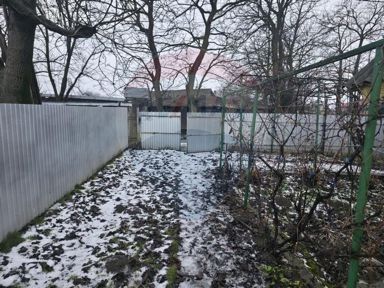 Teren intravilan 4,516mp Doina - 21