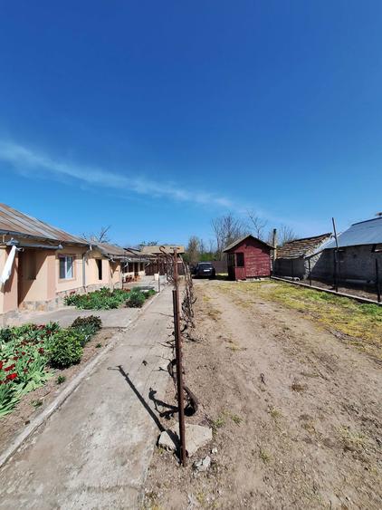 Casa la tara Movila Miresii - 3