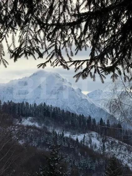 Complex turistic eco-integrat Predeal (Trei Brazi) - 8