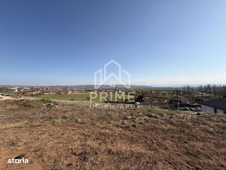 TEREN INTRAVILAN PANORAMIC DE VANZARE 5600 MP, CETATE, ALBA IULIA - 6