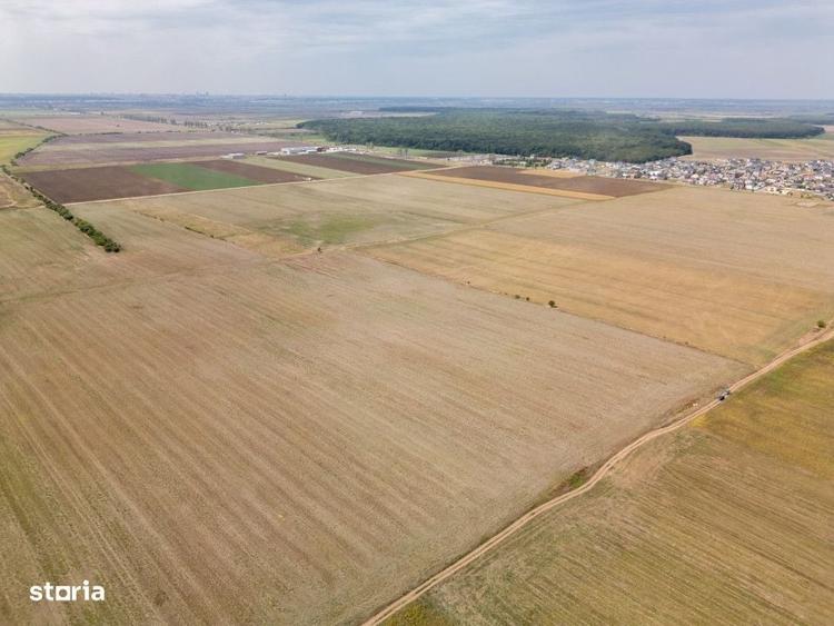 Dascalu - Teren Intravilan 7500 Mp, Investitie! - 3