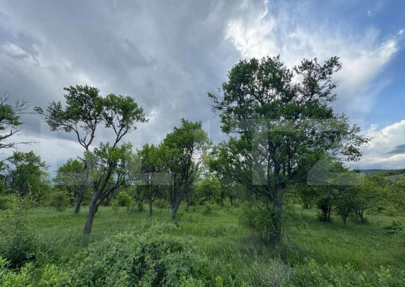 Teren extravilan de vanzare, 5305 mp, in apropiere de Ha?eg - 1