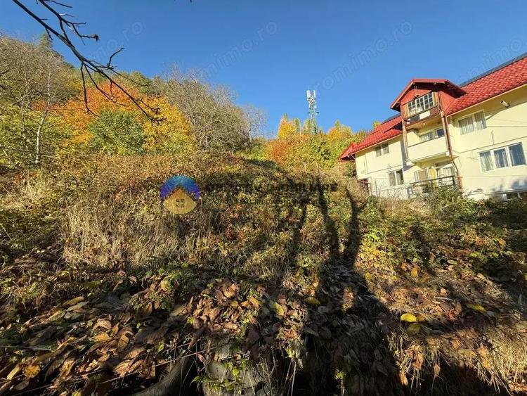 Teren intravilan 1543 mp zona Darmane?ti - 7