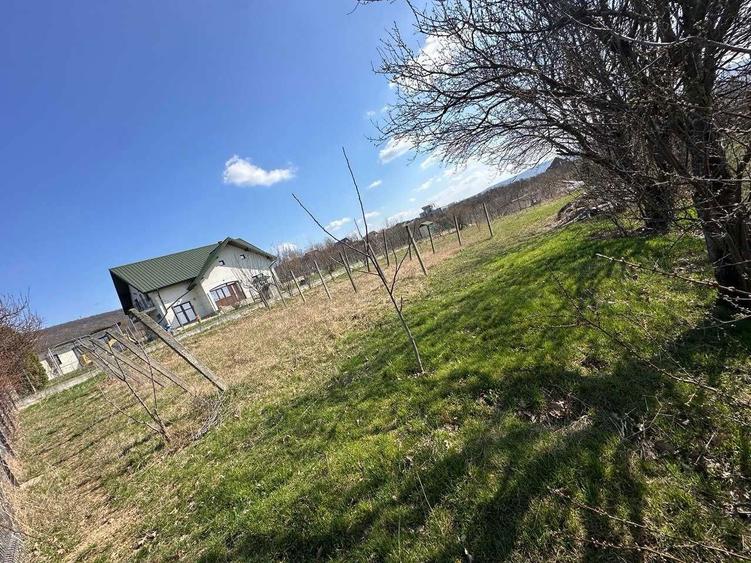 Teren de vanzare in Barnova Iasi - 1