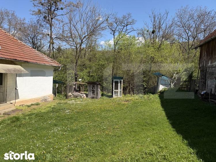 Casa cu 3 camere si un teren de 5000 mp - 6